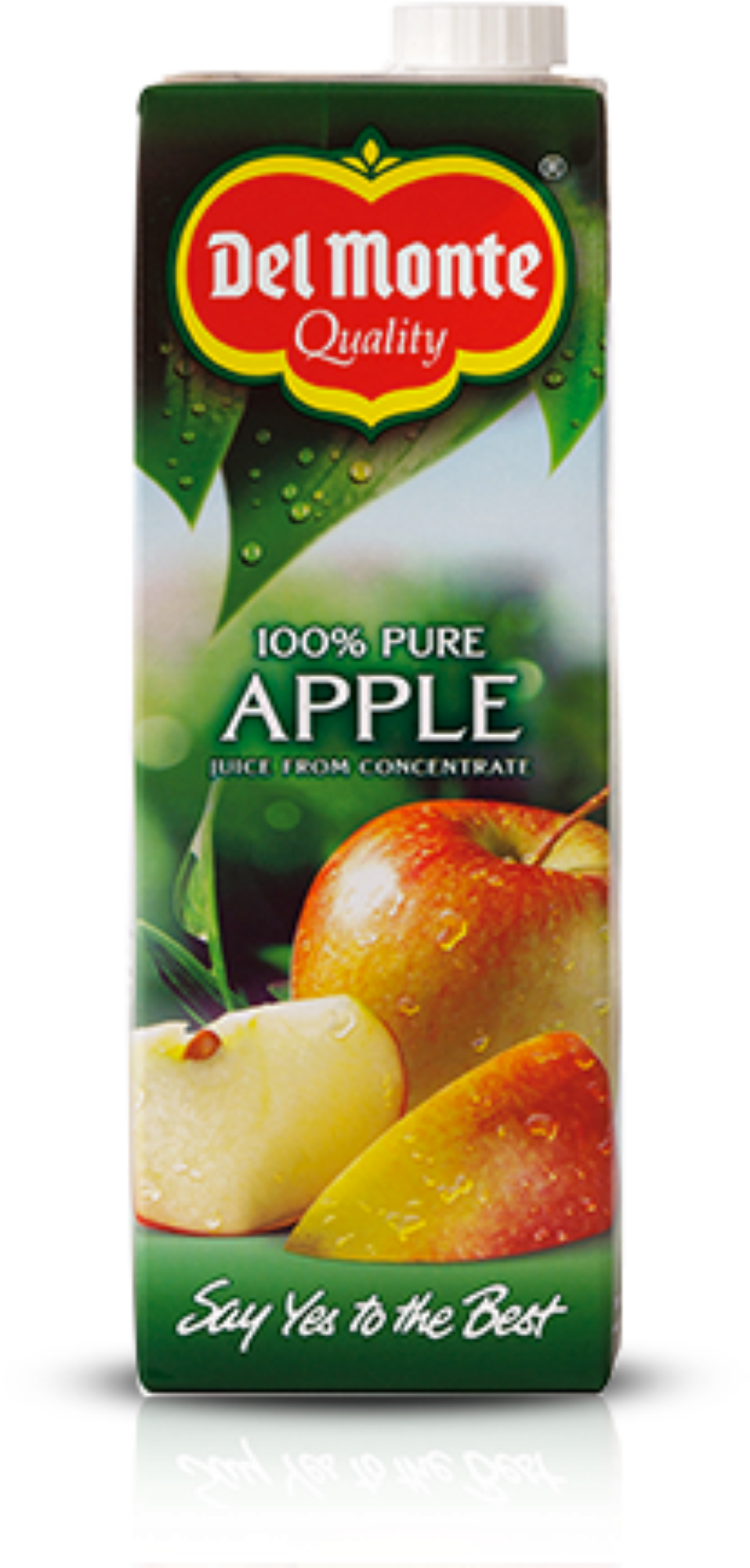 DELMONTE APPLE JUICE 500ML